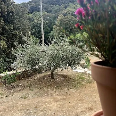 Maison A La Pointe Du Cap Corse Ersa